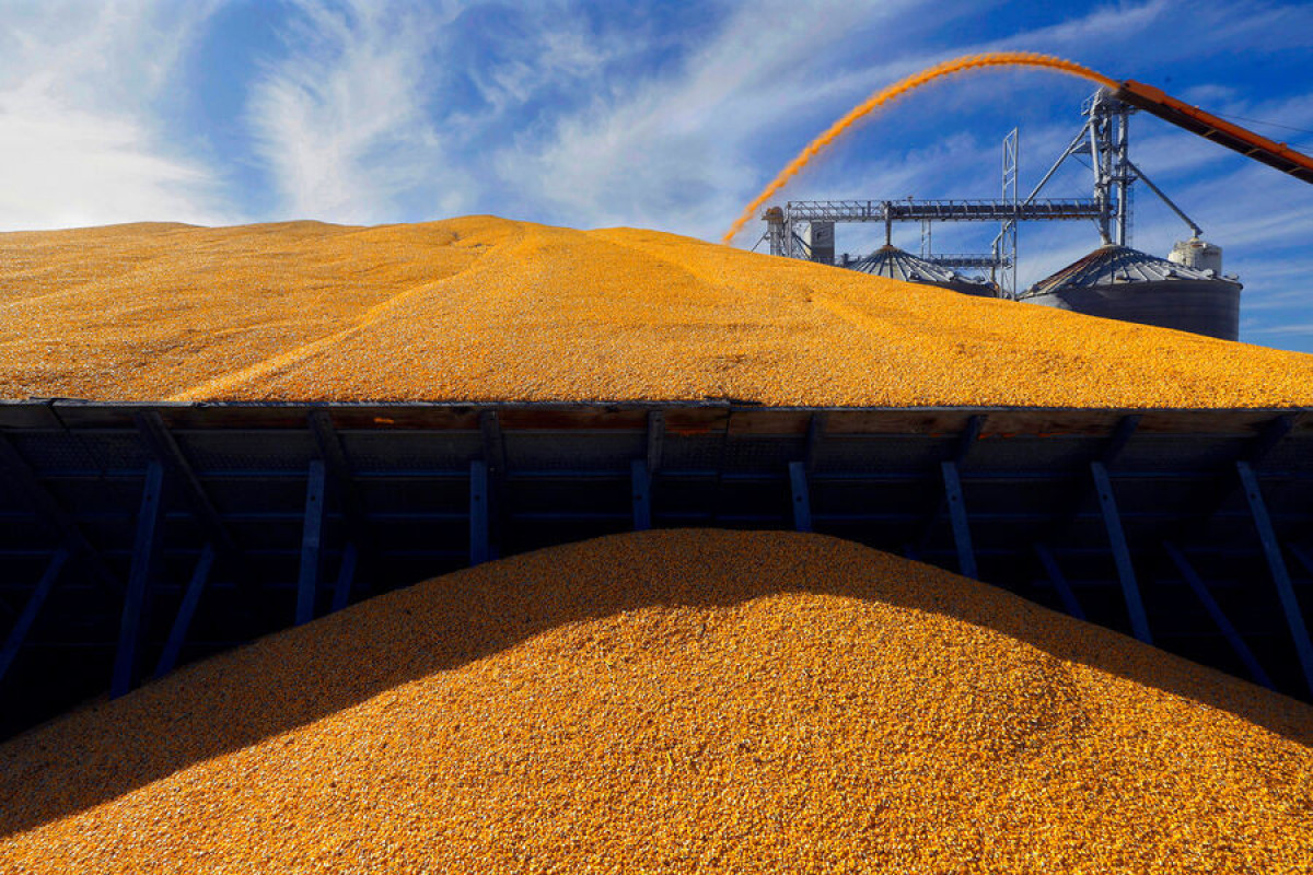 Госдеп потребовал у России разъяснений по условиям возобновления зерновой сделки