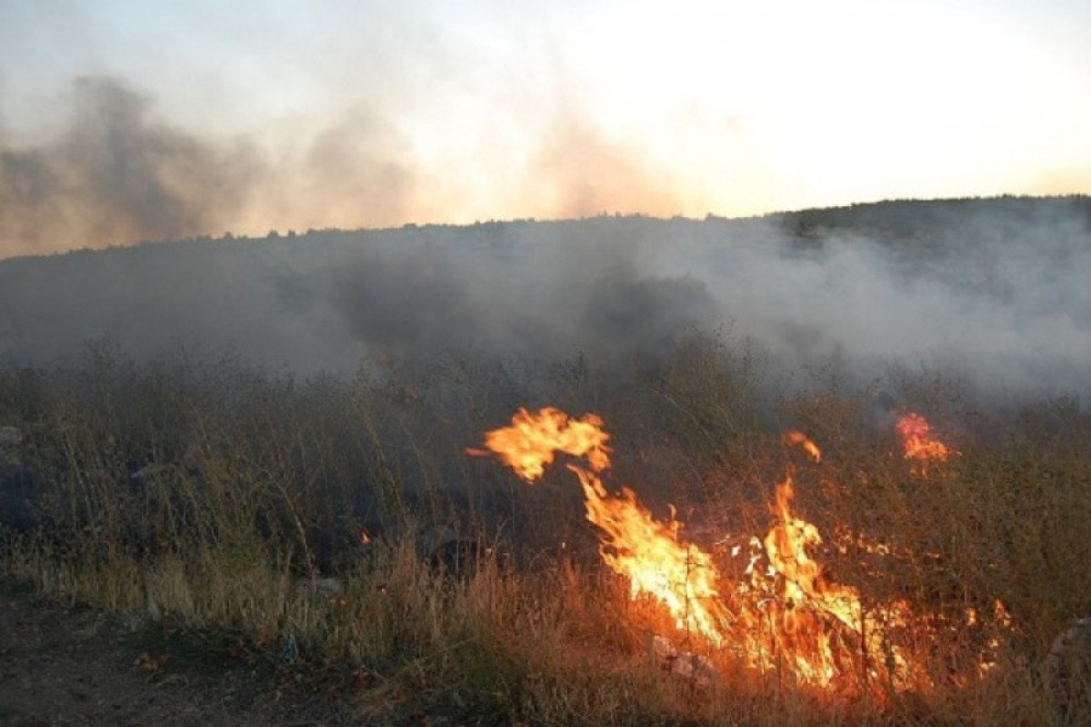 Пожар в Национальном парке Кызылагадж потушен