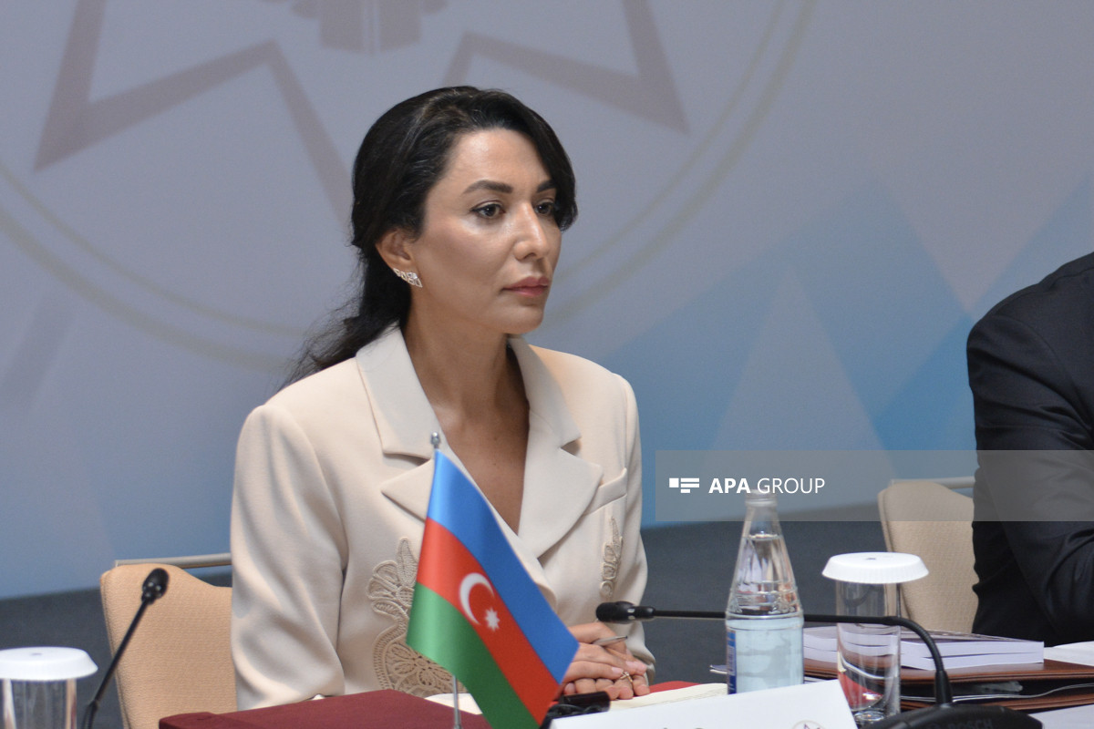 Омбудсмен выразила отношение к «экспертному мнению» бывшего генпрокурора МУС Окампо
