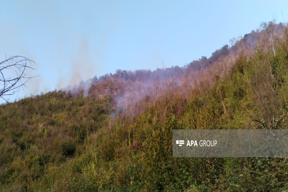 В Габале полностью потушен пожар в горной местности