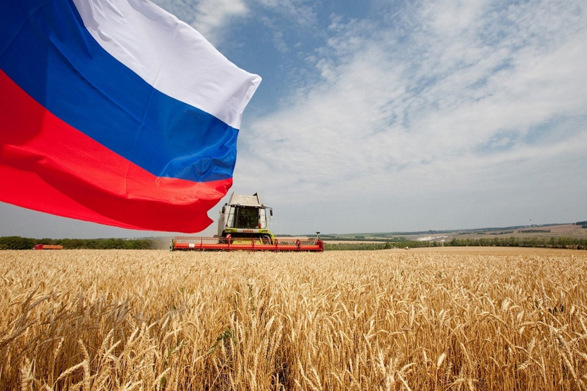 Россия повысит экспортную пошлину на пшеницу
