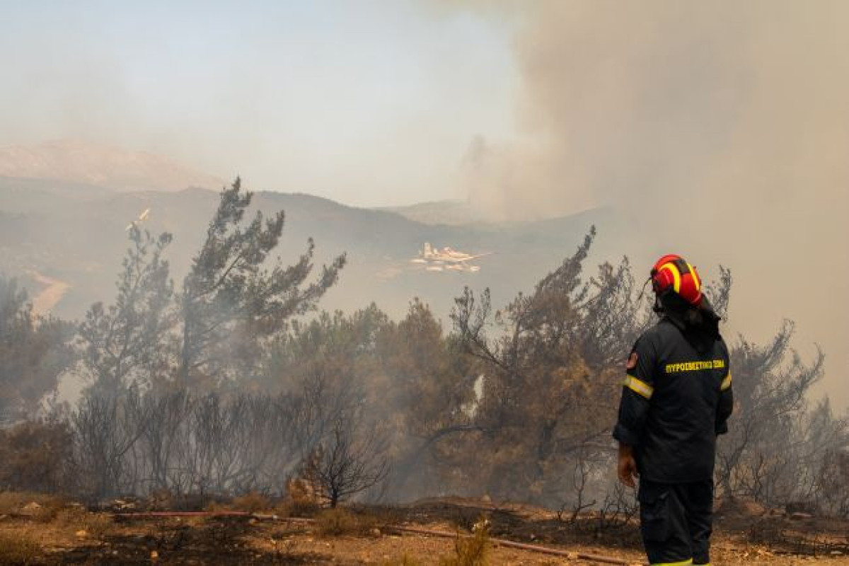 Греческие спасатели не могут взять под контроль масштабные лесные пожары