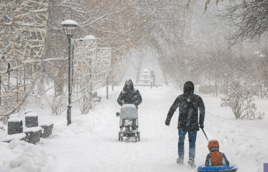 Снегопад в Москве стал самым сильным за 145 лет, температура опустится до минус 22 градусов