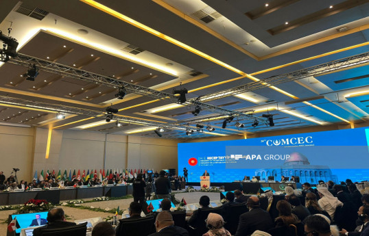 Эрдоган: Принятое в рамках ООН решение не остановило кровопролитие в Газе
