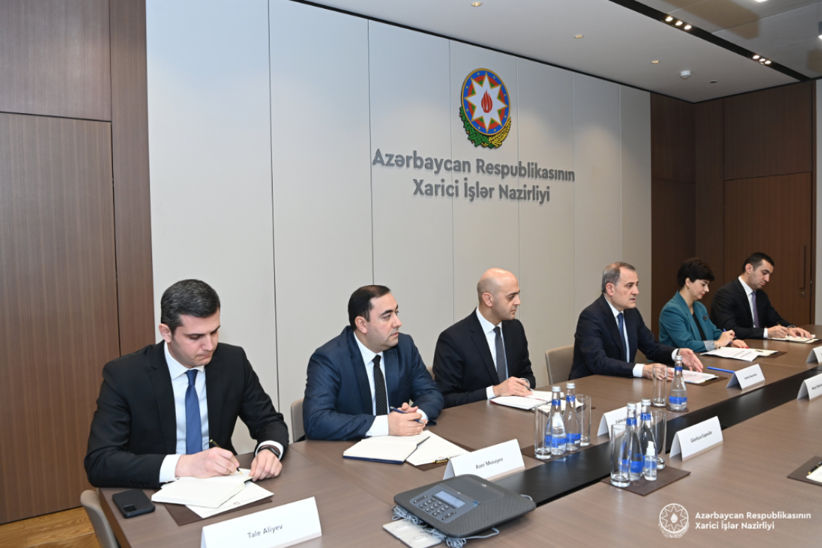 Глава МИД Азербайджана встретился с генсеком Совета Европы