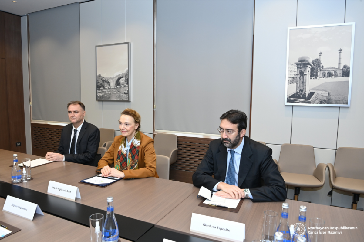 Глава МИД Азербайджана встретился с генсеком Совета Европы
