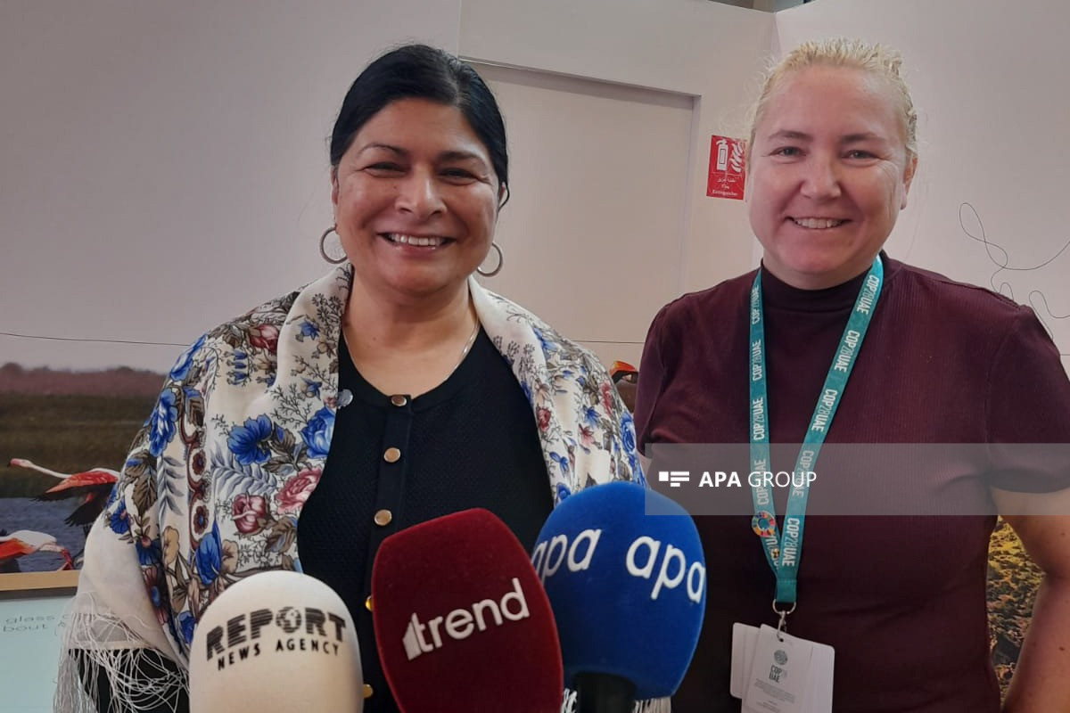 UNFCCC: Наш генеральный секретариат в COP29 с нетерпением ждет работы с правительством и народом Азербайджана