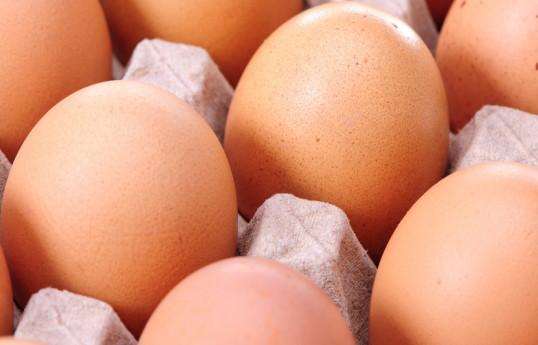 В Россию поставили первую партию яиц объёмом 36 т из Азербайджана