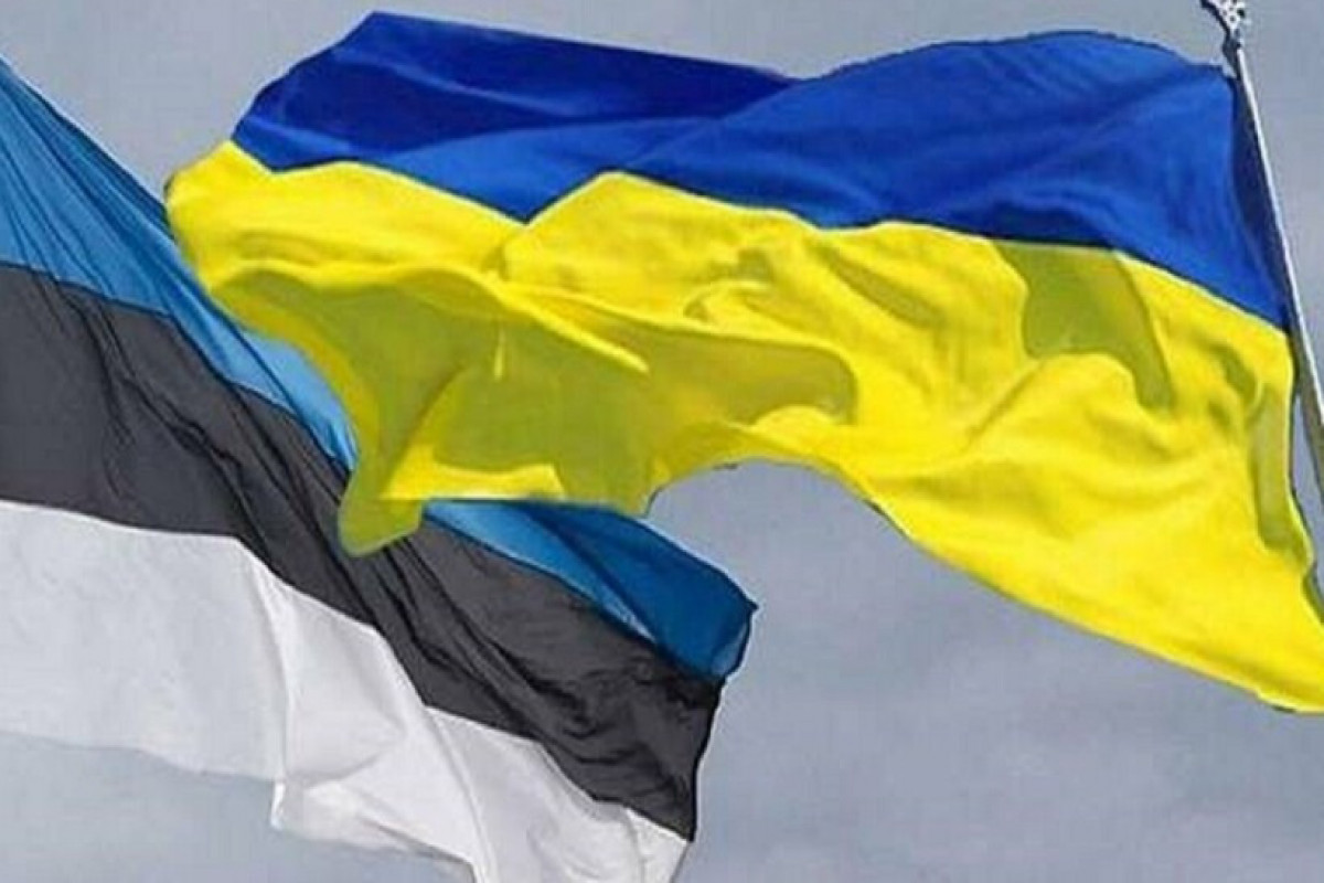 МИД: Эстония готова выдавать Украине военнобязанных беженцев