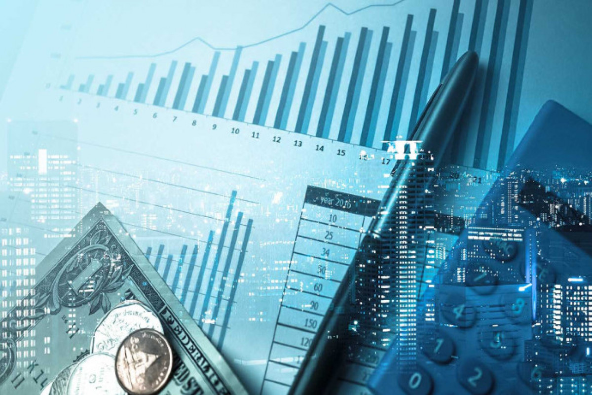Инвестиции Нидерландов в экономику Азербайджана выросли на 67%