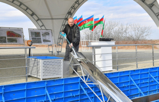 Президент Азербайджана принял участие в церемонии закладки фундамента села Баш Гарвенд Агдамского района