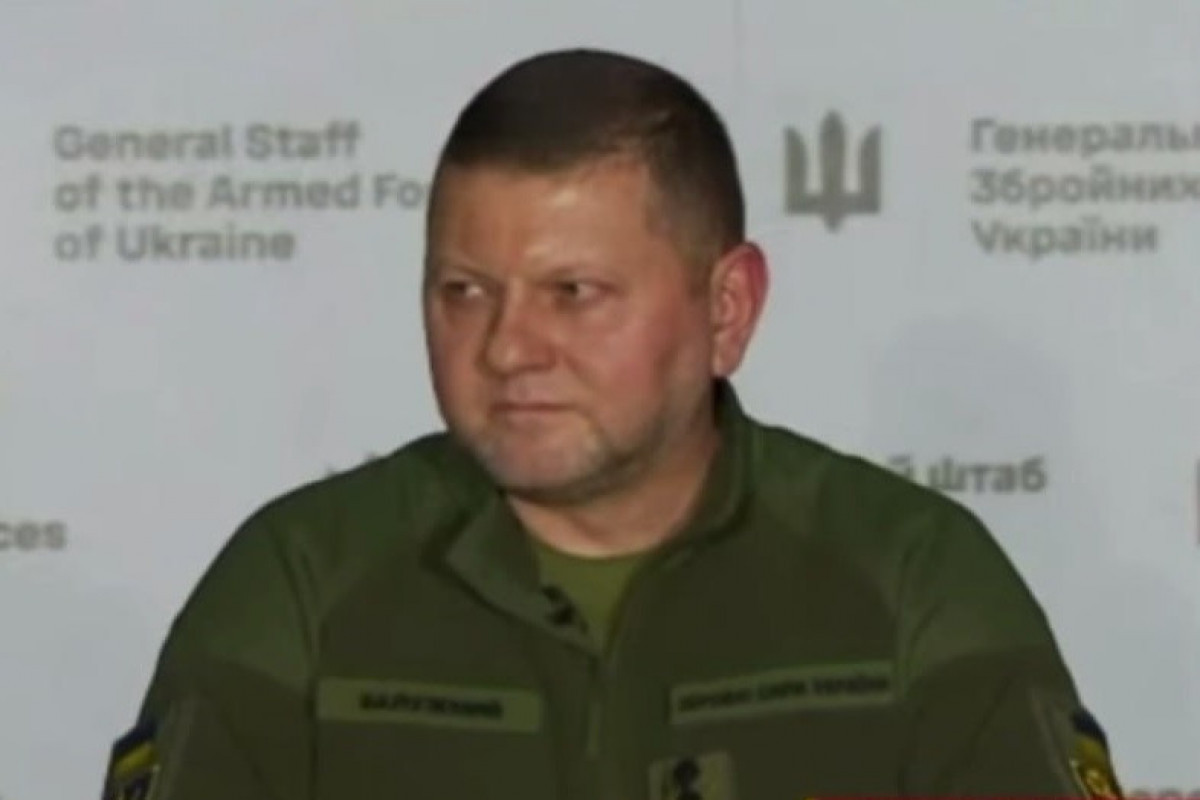 Валерий Залужный