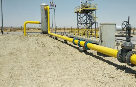 Узбекистан намерен сокращать использование природного газа ежегодно на 25 млрд кубометров