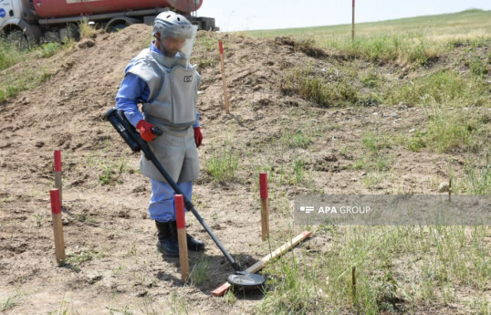 В этом году на освобожденных территориях Азербайджана обнаружено 8529 мин, 23049 НРБ