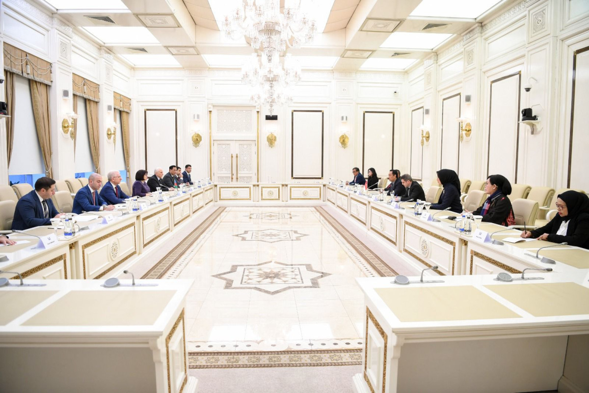 Сахиба Гафарова встретилась с руководителем межпарламентской группы дружбы Индонезия-Азербайджан