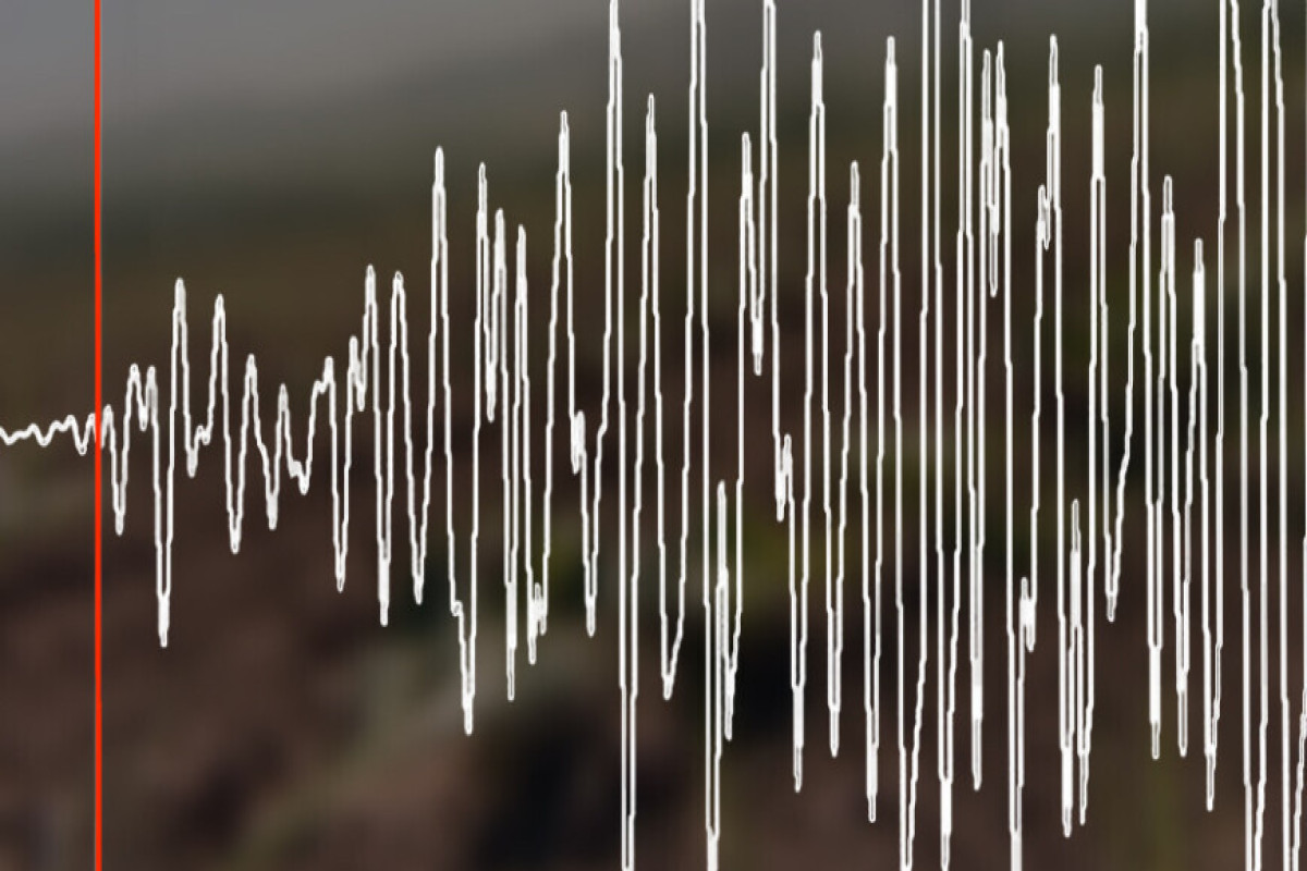 В Папуа - Новой Гвинее произошло землетрясение магнитудой 6,2