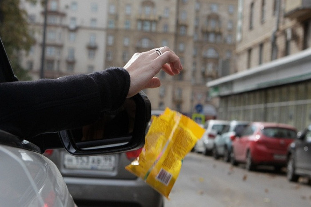 В России водителей, выбрасывающих мусор из машин, будут штрафовать до 200 000 рублей