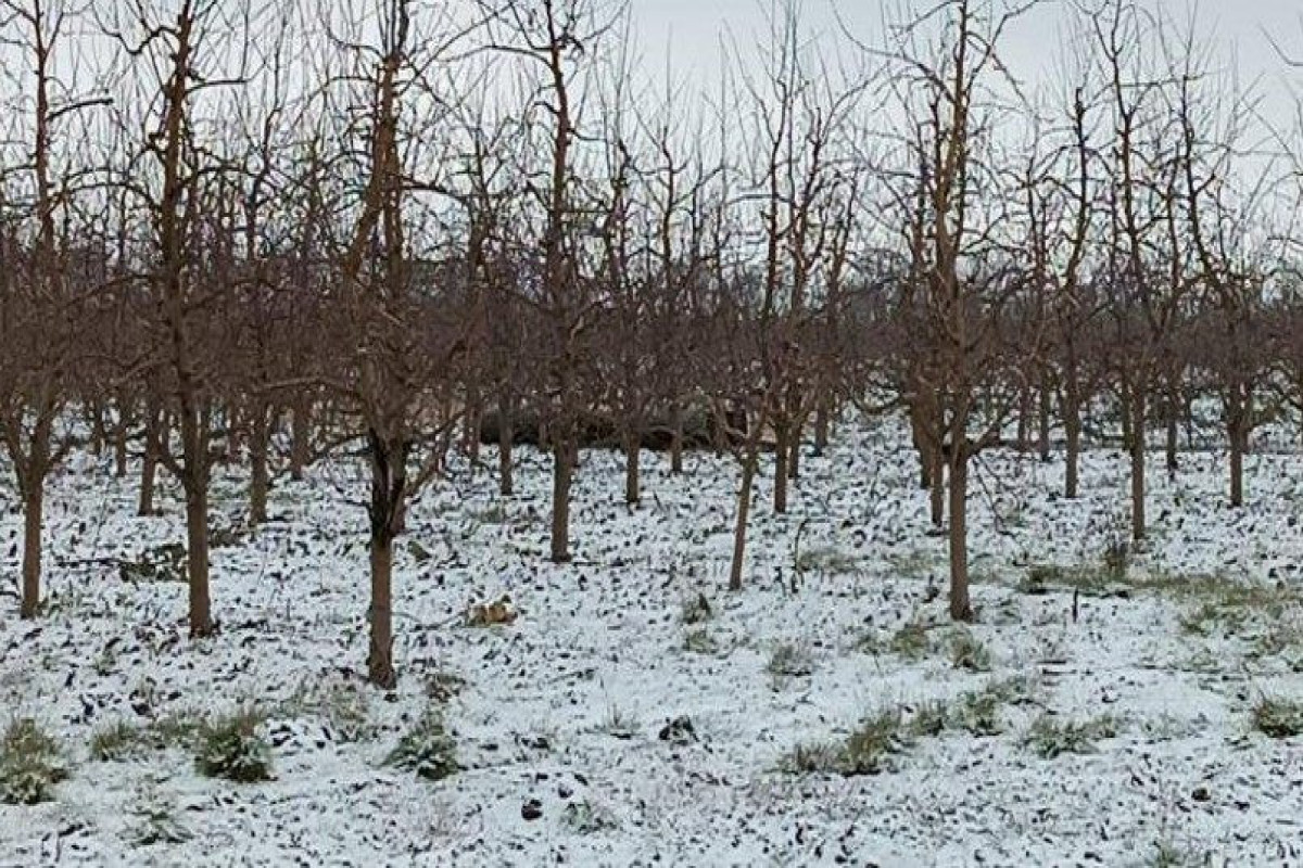 На границе Молдовы с Украиной упали обломки ракеты