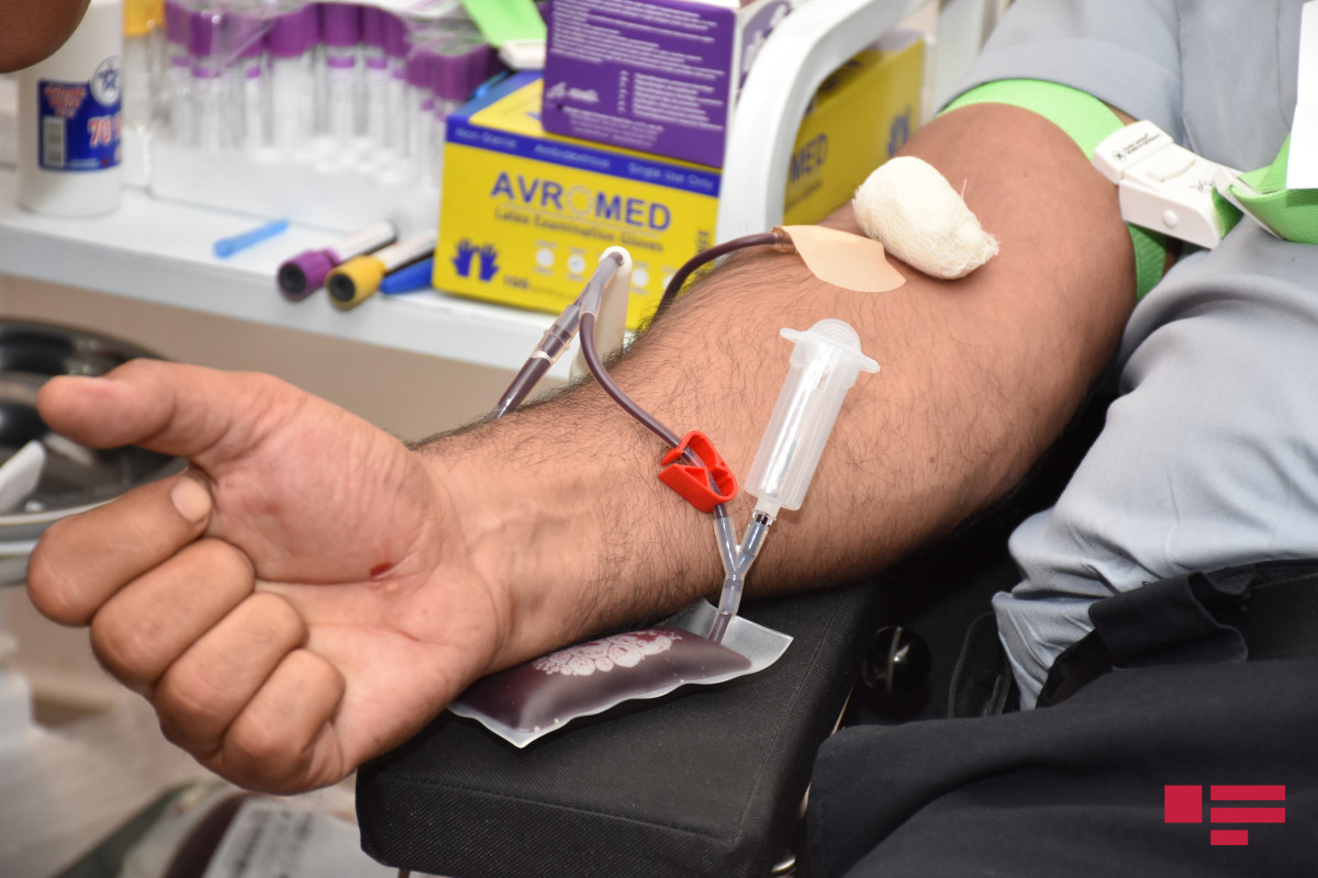 Обнародованы адреса, по которым будут проводиться акции по сдаче крови в день Ашура - СПИСОК 