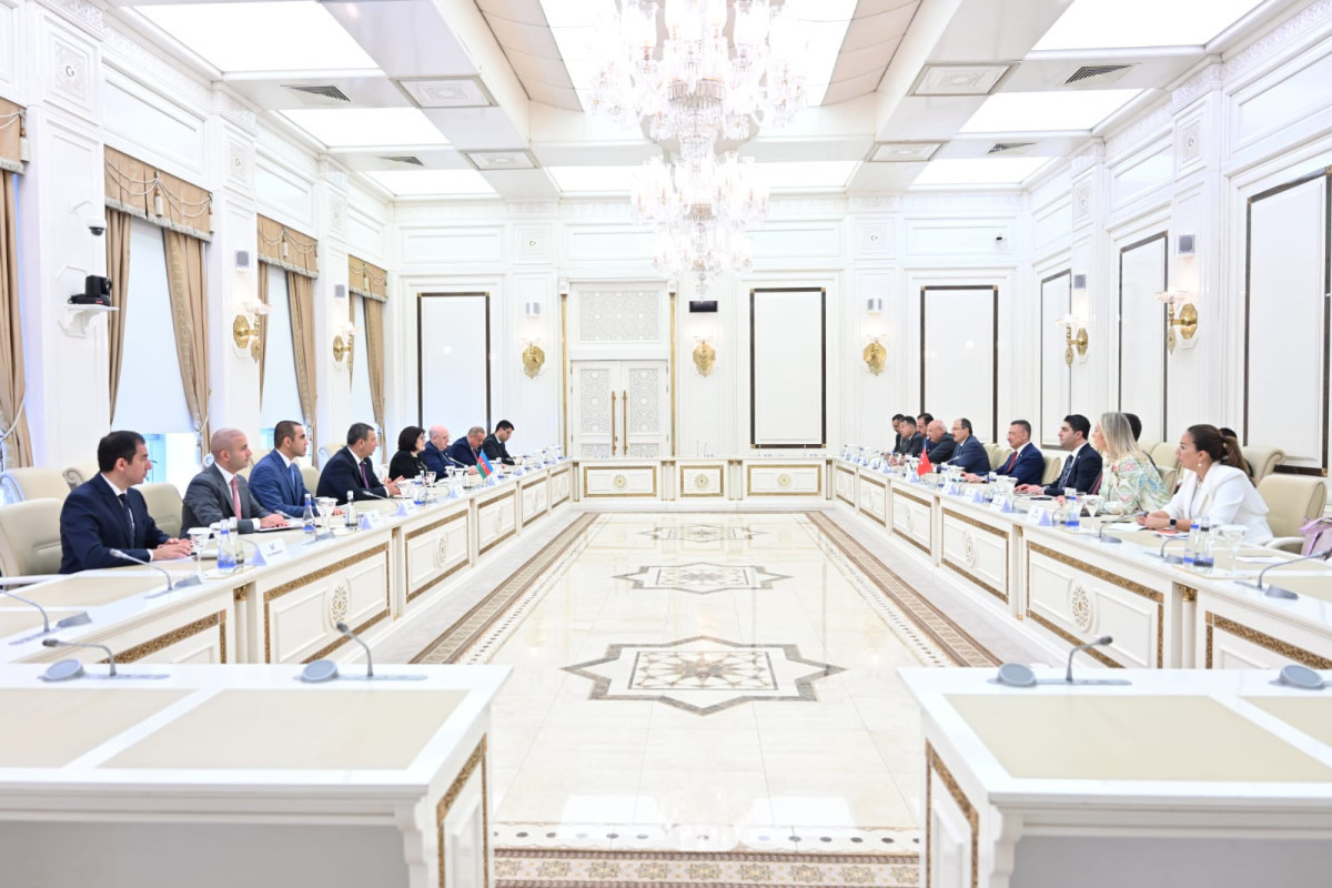Сахиба Гафарова встретилась с Фуатом Октаем