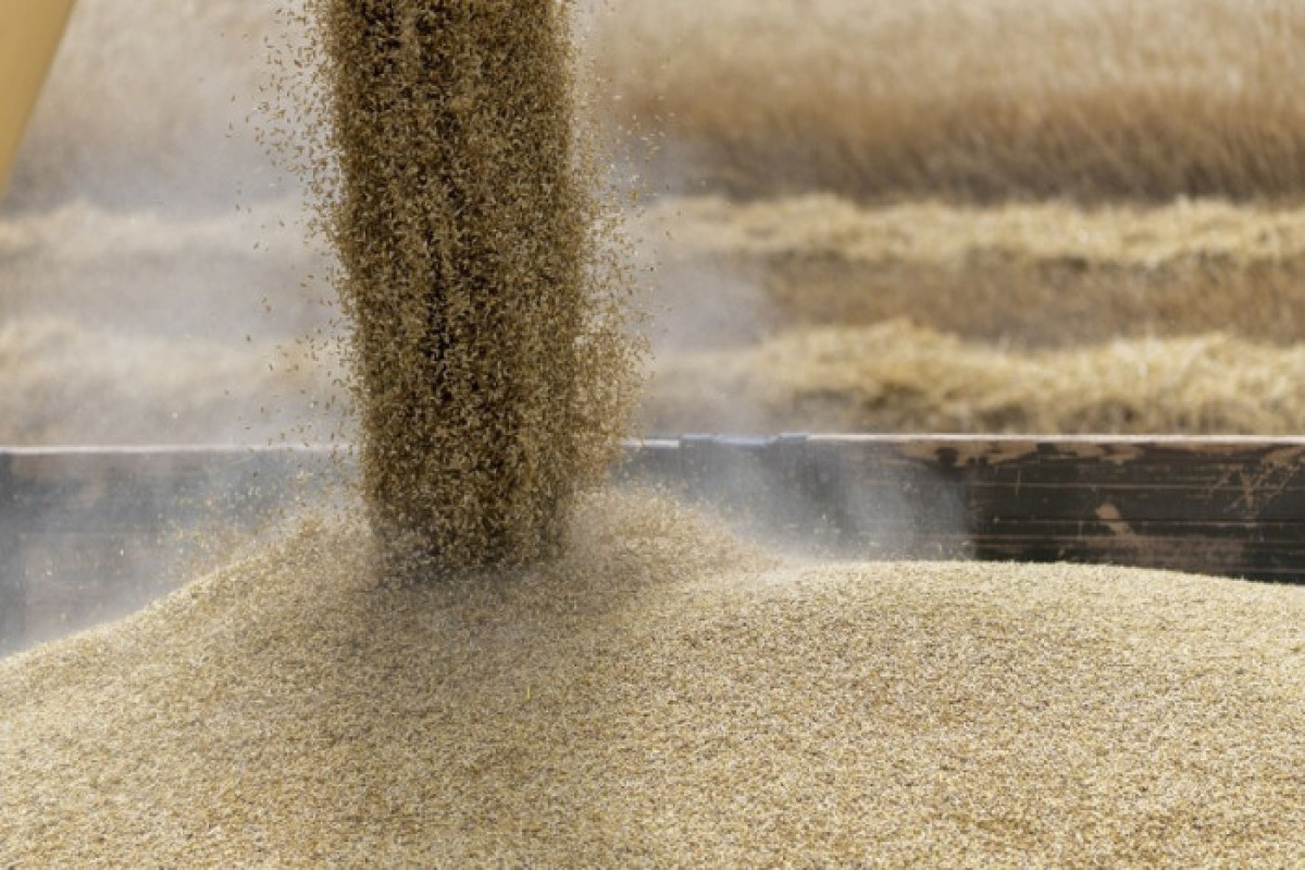 Цены на пшеницу выросли на Чикагской фондовой бирже