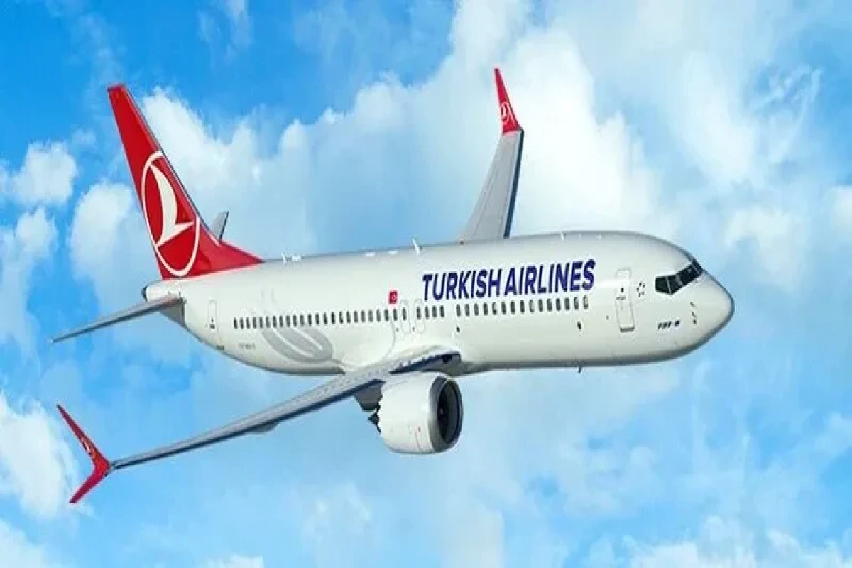 Самолет Turkish Airlines совершил экстренную посадку в Алжире из-за самоубийства пассажира