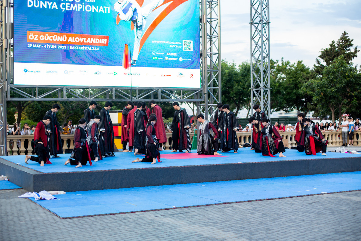 В Баку прошел фестиваль по тхэквондо - ФОТО 