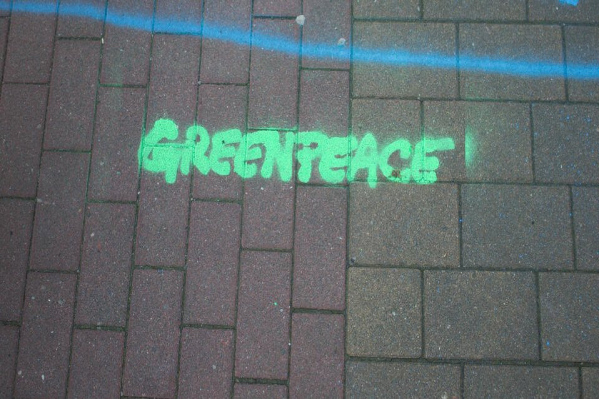 Роскомнадзор ограничил доступ к сайту Greenpeace