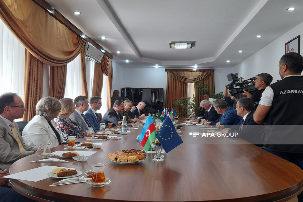 Послы ЕС находятся с визитом в Лянкяране - ФОТО 