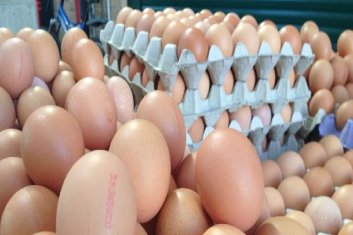 Азербайджан будет экспортировать в Бельгию яйца