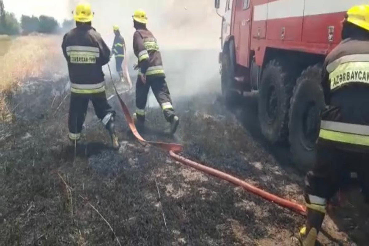 На зерновом поле в Агсу произошел пожар-ВИДЕО 