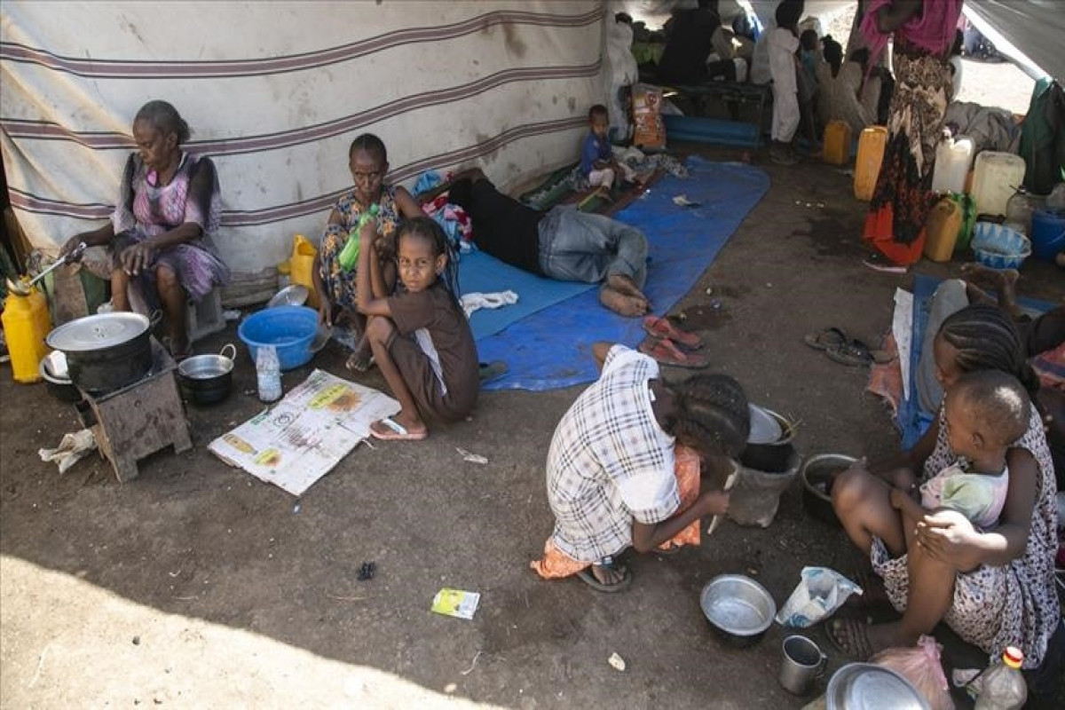 ЕС намерен предоставить Египту €20 млн для решения проблемы беженцев из Судана