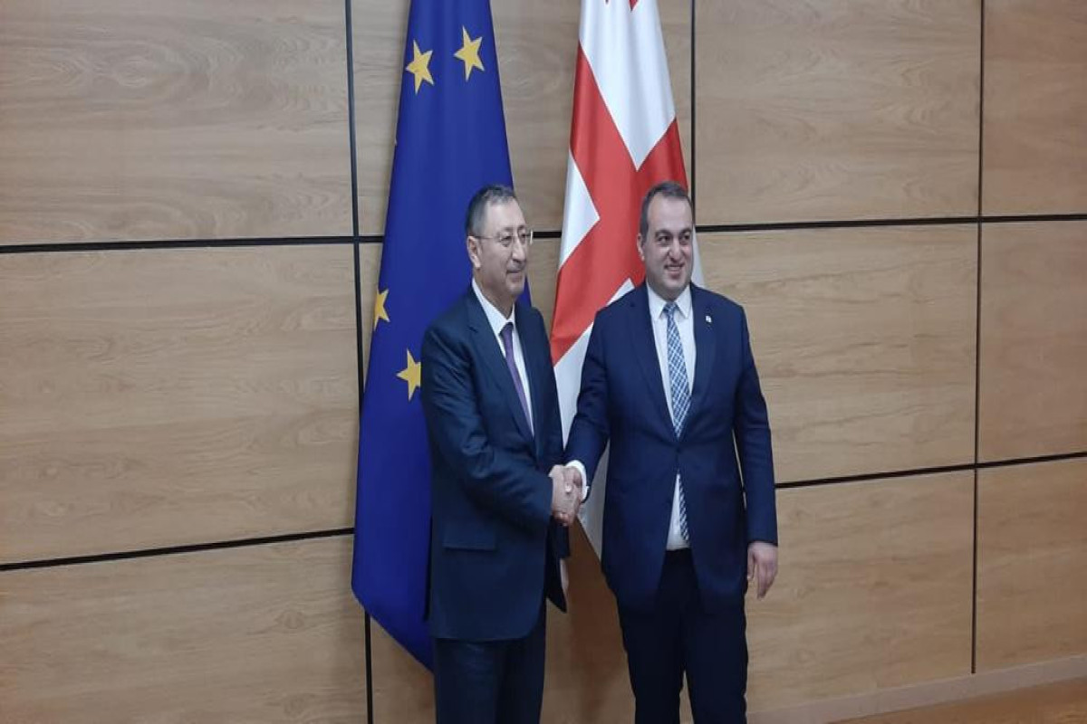 Состоялись политические консультации между Азербайджаном и Грузией-ФОТО 