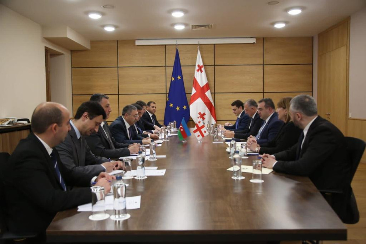 Состоялись политические консультации между Азербайджаном и Грузией-ФОТО 