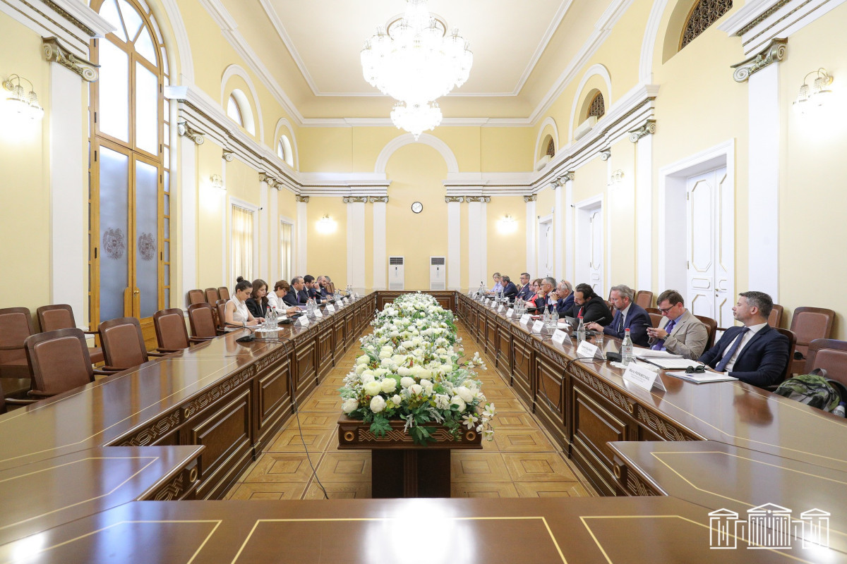 Григорян встретился с европарламентариями, которые оценят ситуацию на границе с Азербайджаном
