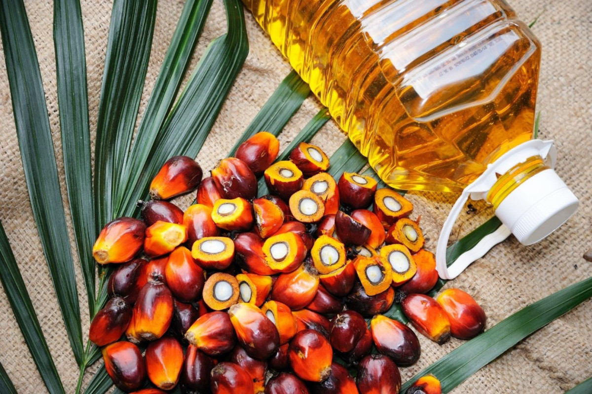 В этом году в Азербайджан было импортировано около 12 тыс. тонн пальмового масла