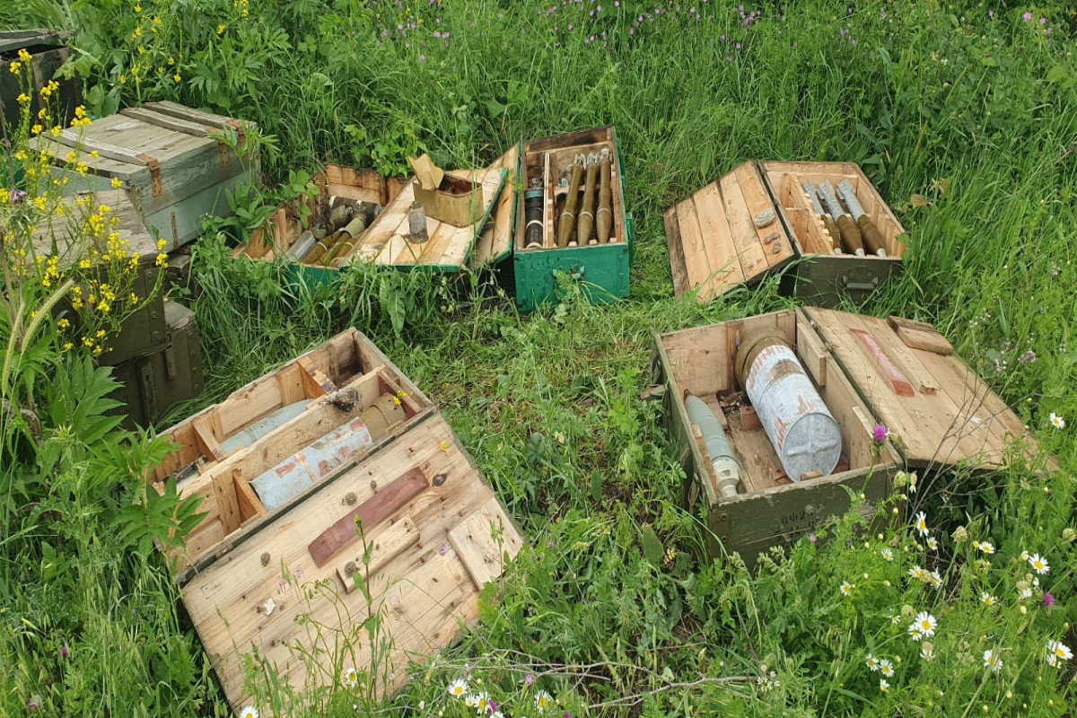 В Туге в лесу обнаружено большое количество боеприпасов ВС Армении