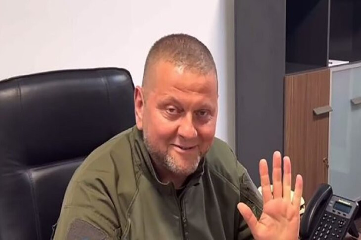 Валерий Залужный