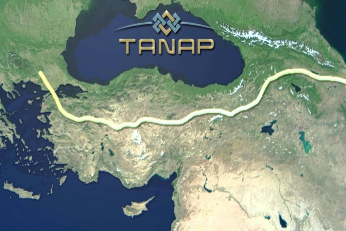 Гендиректор: Объем газа, транспортируемого по TANAP,  достигнет 50 млрд кубических метров