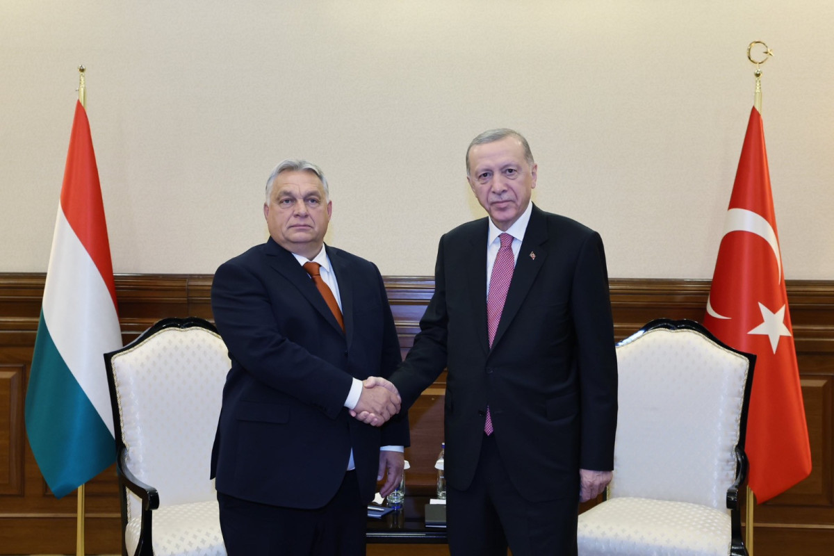 Эрдоган встретился с Орбаном в рамках саммита ОТГ
