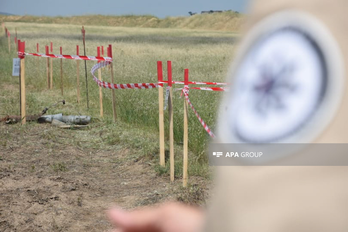 Стало известно количество обезвреженных мин на освобожденных территориях Азербайджана