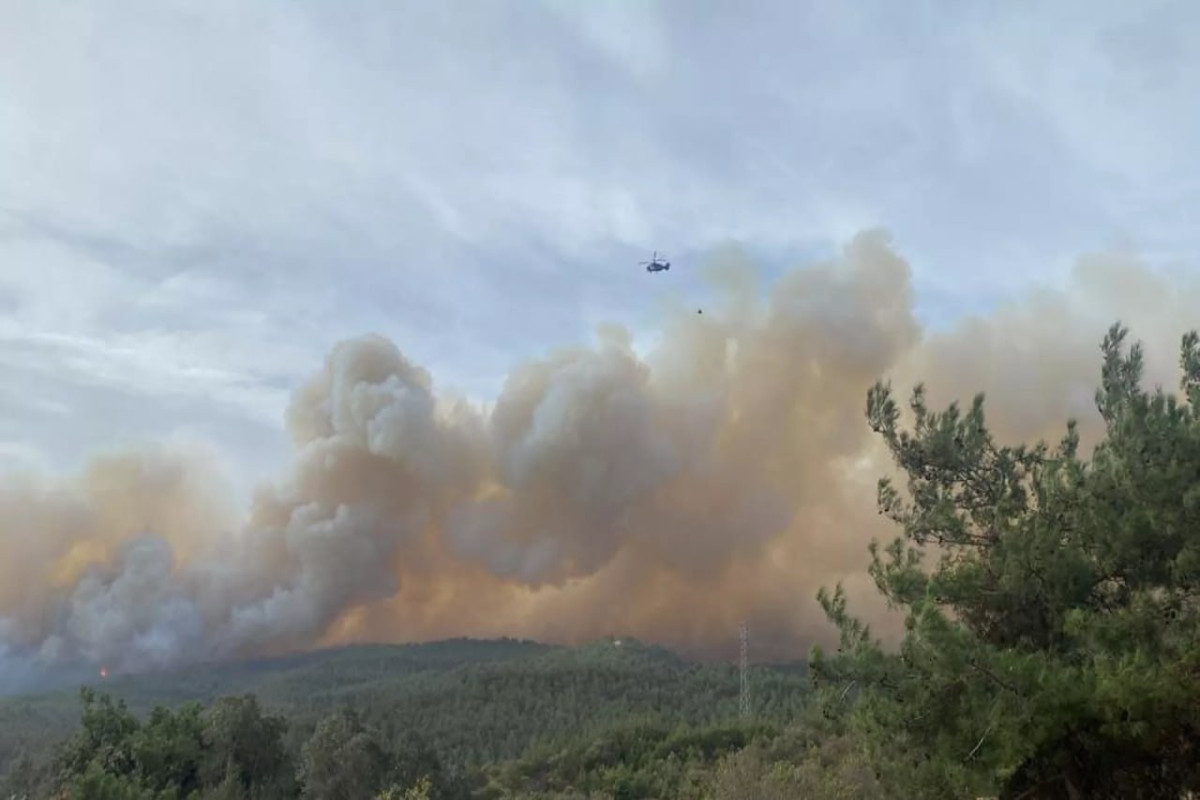 Из-за лесного пожара в Турции эвакуировано целое село