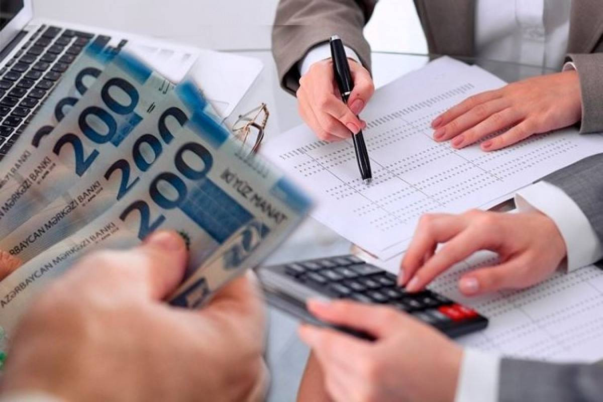 Начальник Налоговой службы Азербайджана назвал причину отмены налоговых льгот для микро-предпринимателей