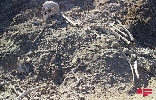 В Агдаме на освобожденной территории обнаружен человеческий череп