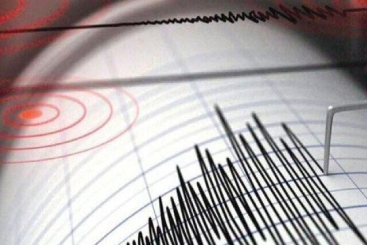 В Иране произошло землетрясение магнитудой 4,9