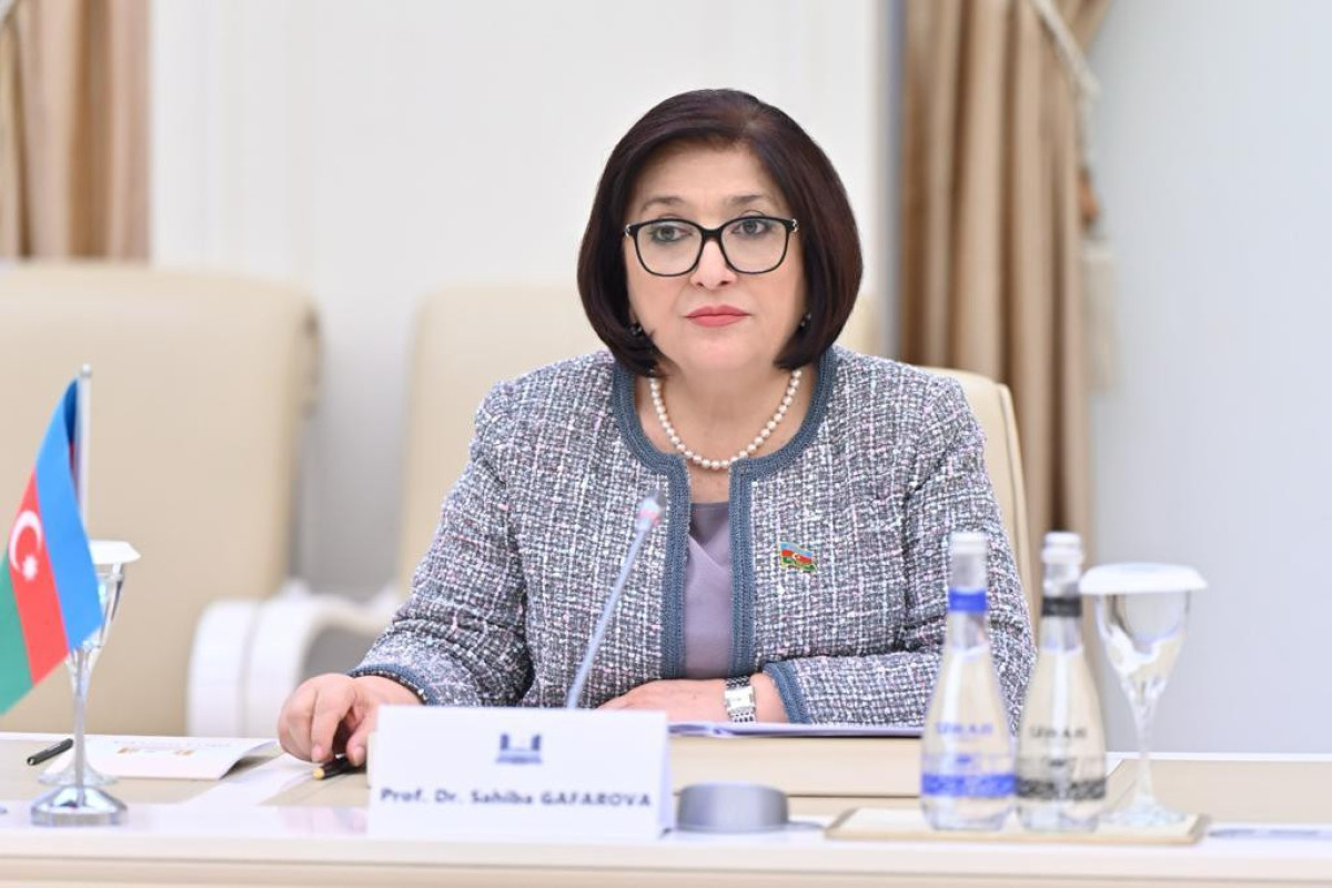 Сахиба Гафарова: Меры ПА ОБСЕ не должны стать платформой для лживой пропаганды Армении против Азербайджана