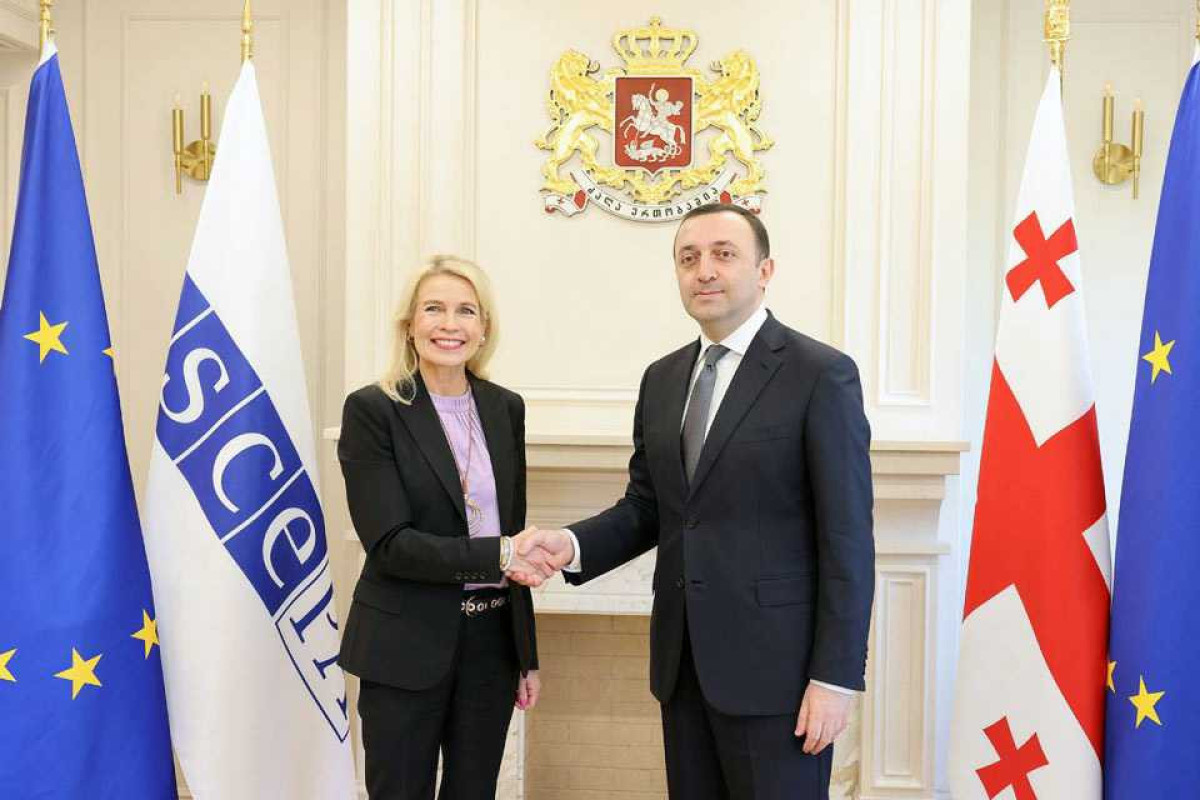 Председатель ПА ОБСЕ обсудила с Гарибашвили армяно-азербайджанские отношения
