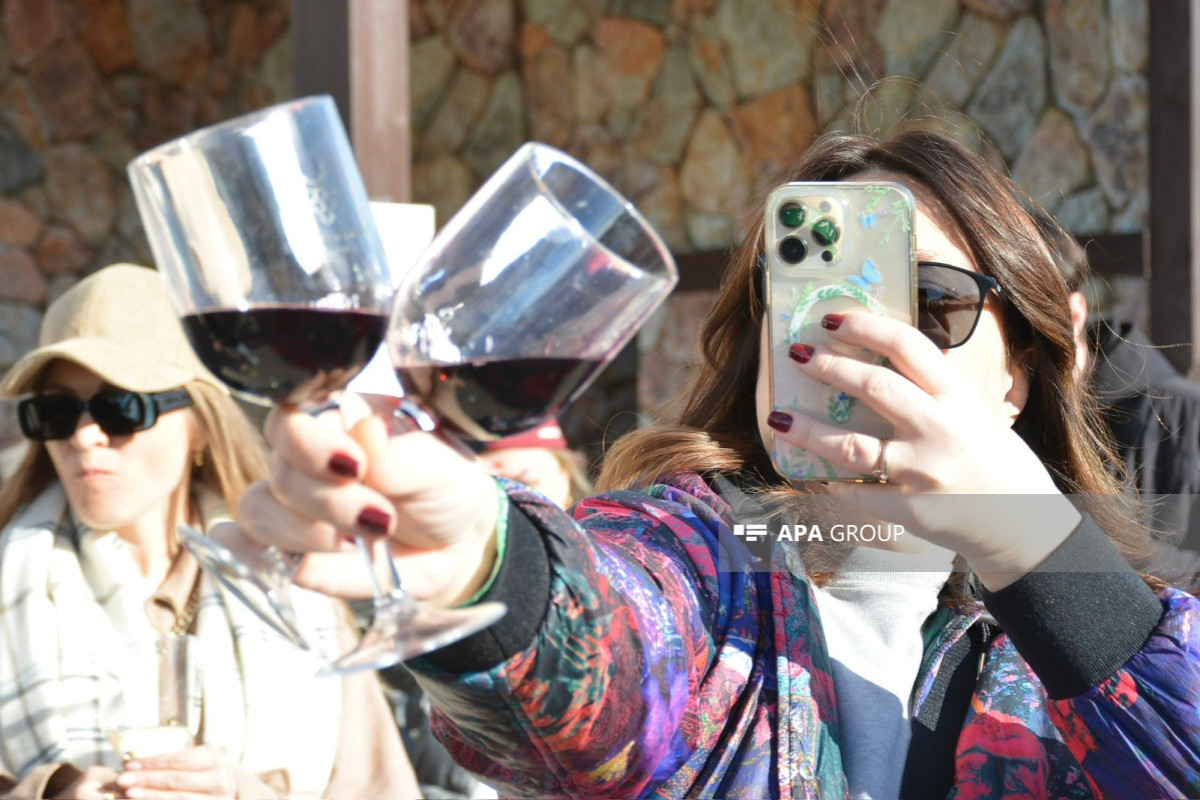 В Шамахы проходит Второй фестиваль вина и винограда-ФОТО 