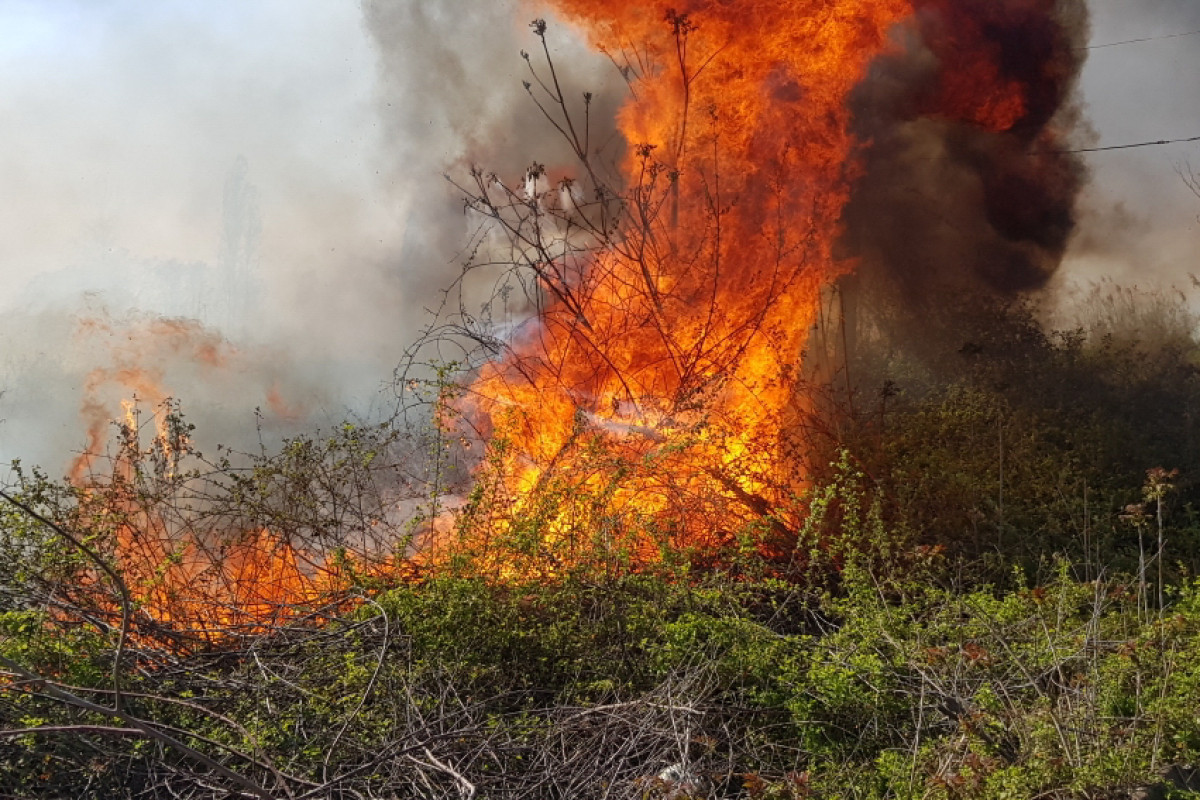 Пожар в горно-лесистой местности на юге Азербайджана потушен -ОБНОВЛЕНО-2-ВИДЕО 