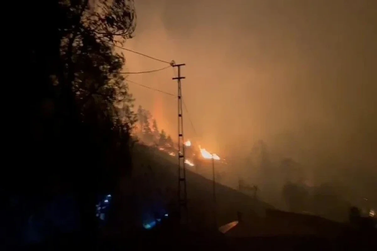 В Турции из-за лесных пожаров эвакуированы сотни жителей